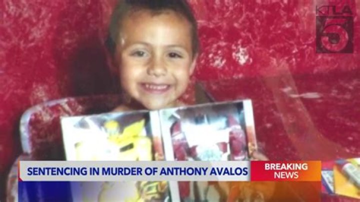 Understanding The Tragic Story Of Anthony Avalos Parents