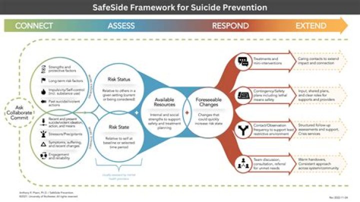 Understanding The Tragic Suicide Of Molly: Causes And Prevention