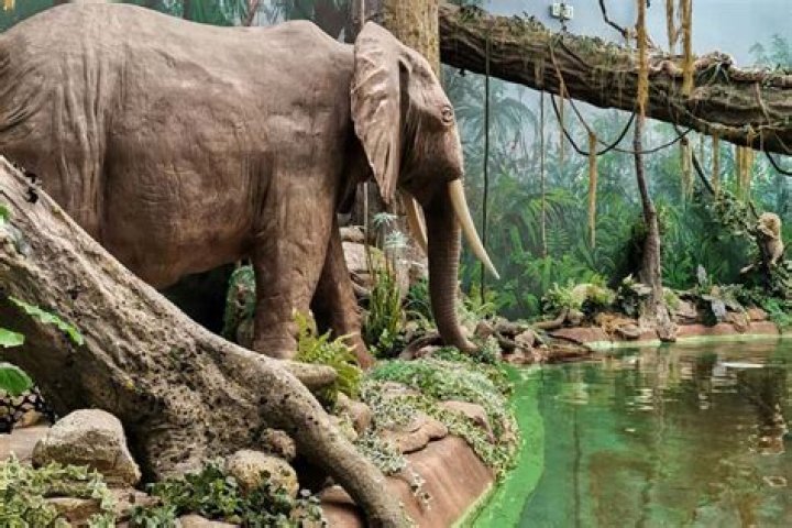 Unlocking The Enigma Of Falling Rocks In Romania: A World Of Discoveries