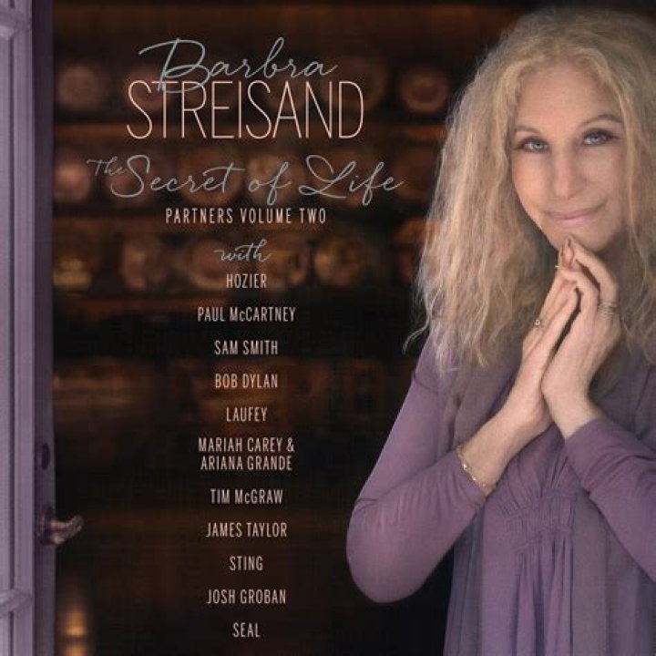 Unlocking The Secrets: Barbara Streisand's Marriages Revealed