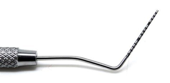 Unlocking The UNC Star's Financial Frenzy