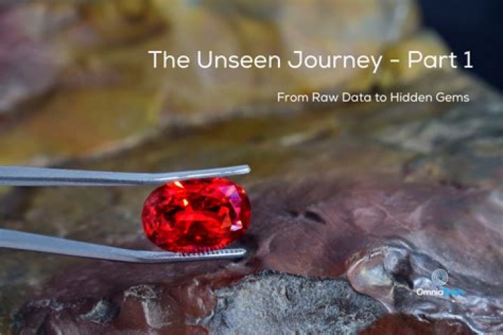 Unseen Insights And Hidden Gems