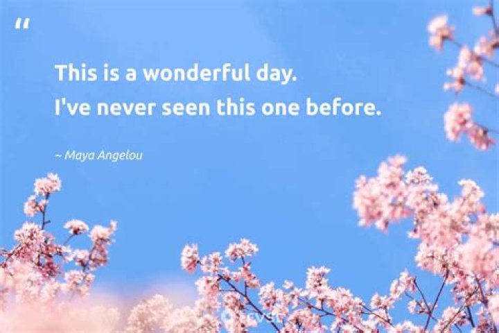 Unveil The Enchanting World Of "Today Was A Beautiful Day" Quotes