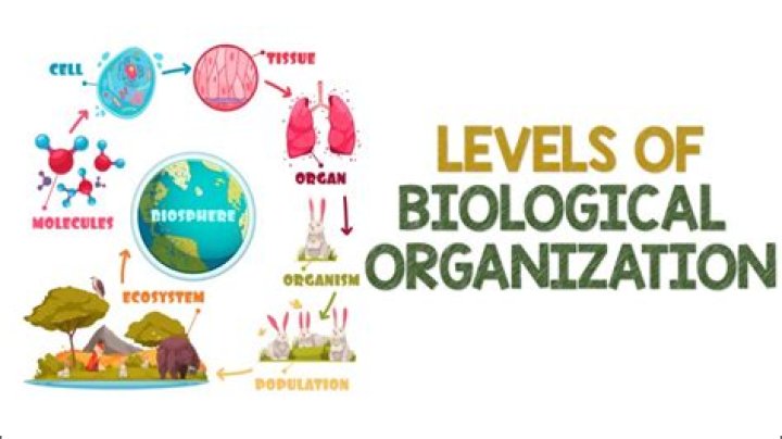 Unveiling Kim Fields' Biological Dad: A Journey Of Discovery