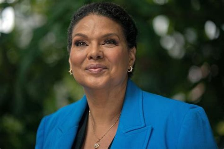 Unveiling Sara Sidner's Nationality: Unique Perspectives, Global Impact