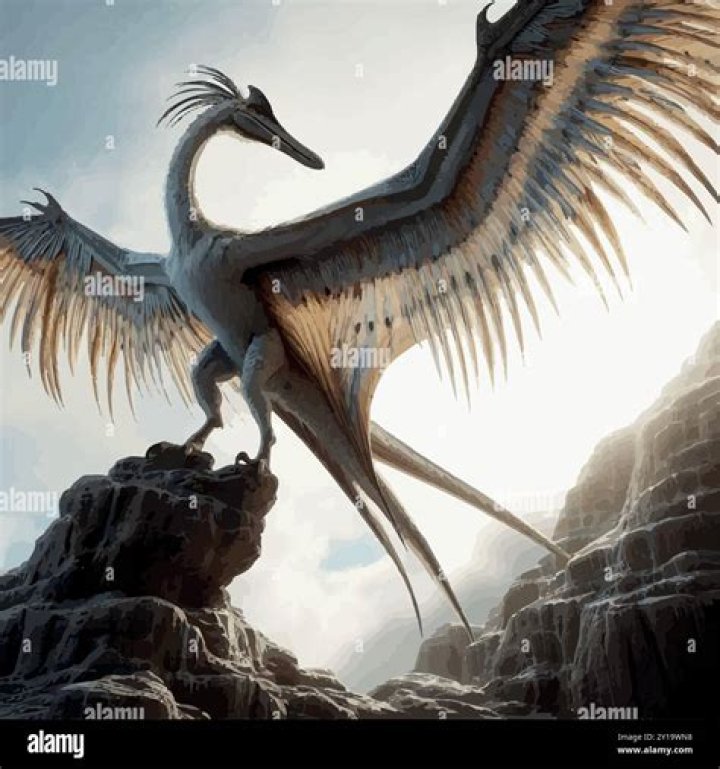 Unveiling The Secrets Of Sneako Height: Insights And Discoveries