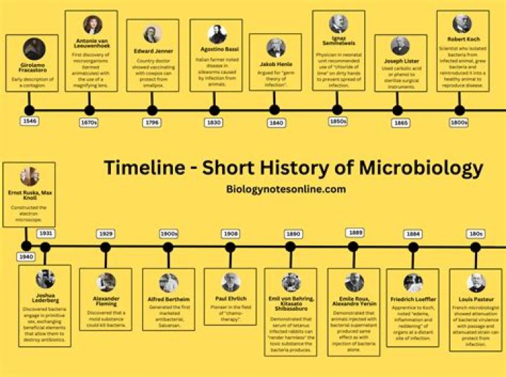 Unveiling The Significance Of Dominique Perry's Age: Discoveries And Insights