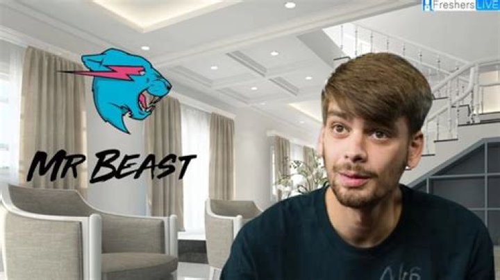 What Happened to Chandler in Mr Beast? Did Mr Beast Fire Chandler? ·