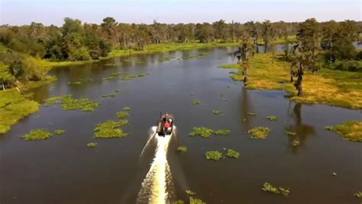 Who Won The 350 Alligator Tags On Swamp People 2023